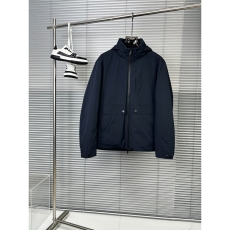 Zegna Down Jackets